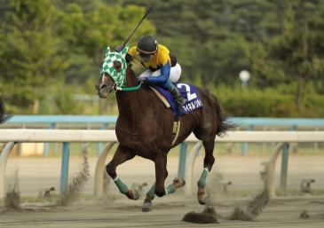 金沢競馬を楽しむならホープ